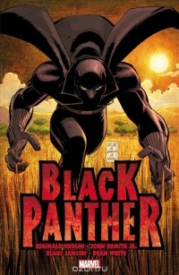  - Black Panther: Who is the Black Panther?