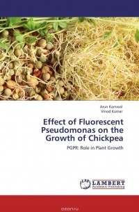  - Effect of Fluorescent Pseudomonas on the Growth of Chickpea