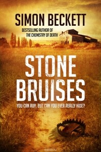 Simon Beckett - Stone Bruises