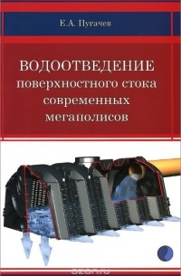 Е. А. Пугачев - Водоотведение поверхностного стока современных мегаполисов