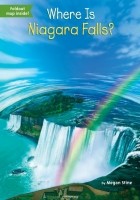 Меган Стайн - Where Is Niagara Falls?