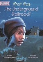 Йона Зельдис Макдонах - What Was the Underground Railroad?