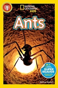 Мелисса Стюарт - National Geographic Readers: Ants