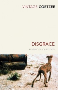 J.M. Coetzee - Disgrace