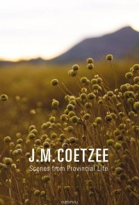 J.M. Coetzee - Scenes from Provincial Life