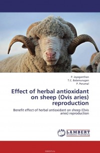  - Effect of herbal antioxidant on sheep (Ovis aries) reproduction