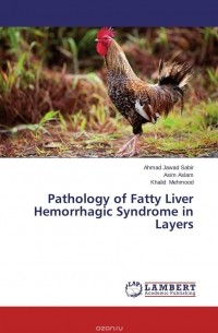  - Pathology of Fatty Liver Hemorrhagic Syndrome in Layers