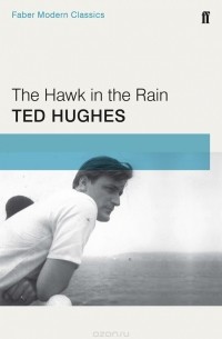 Ted Hughes - The Hawk in the Rain