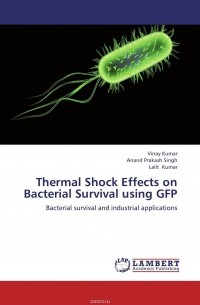  - Thermal Shock Effects on Bacterial Survival using GFP