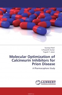  - Molecular Optimization of Calcineurin Inhibitors for Prion Disease