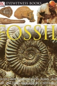 Пол Тейлор - DK Eyewitness Books: Fossil
