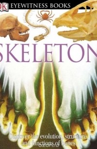 Стив Паркер - DK Eyewitness Books: Skeleton