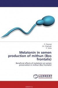 - Melatonin in semen production of mithun (Bos frontalis)