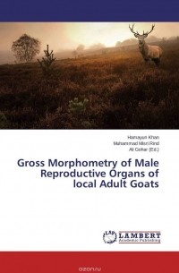  - Gross Morphometry of Male Reproductive Organs of local Adult Goats