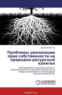 Дмитрий Маслов - Проблемы реализации прав собственности на природно-ресурсный капитал
