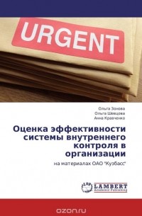  - Оценка эффективности системы внутреннего контроля в организации