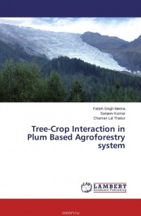  - Tree-Crop Interaction in Plum Based Agroforestry system