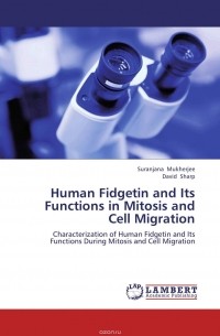  - Human Fidgetin and Its Functions in Mitosis and Cell Migration