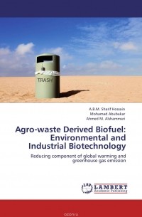  - Agro-waste Derived Biofuel: Environmental and Industrial Biotechnology