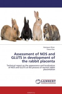  - Assessment of NOS and  GLUTS in development of the rabbit placenta