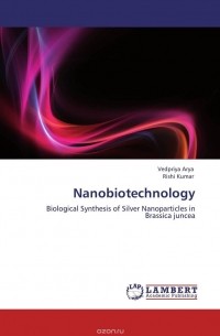  - Nanobiotechnology