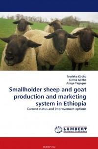  - Smallholder sheep and goat production and marketing system in Ethiopia