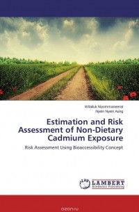  - Estimation and Risk Assessment of Non-Dietary Cadmium Exposure
