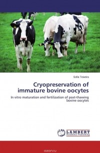 Sofia Teixeira - Cryopreservation of immature bovine oocytes