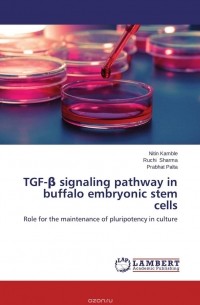 TGF-? signaling pathway in buffalo embryonic stem cells