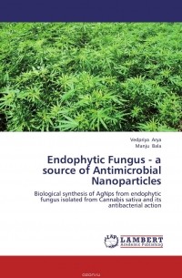  - Endophytic Fungus - a source of Antimicrobial Nanoparticles