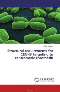 Izabel Moraes - Structural requirements for CENH3 targeting to centromeric chromatin