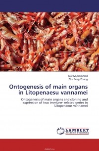 - Ontogenesis of main organs in Litopenaesu vannamei