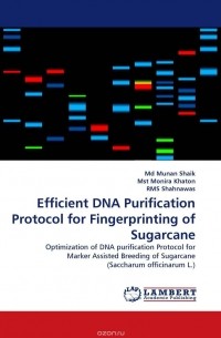  - Efficient DNA Purification Protocol for Fingerprinting of Sugarcane
