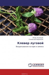 Клевер луговой