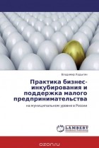 Владимир Ладыгин - Практика бизнес-инкубирования и поддержка малого предпринимательства