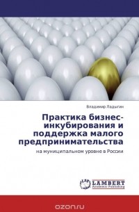 Владимир Ладыгин - Практика бизнес-инкубирования и поддержка малого предпринимательства