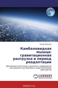 Тимур Мирзоев - Камбаловидная мышца: гравитационная разгрузка и период реадаптации