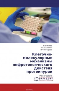  - Клеточно-молекулярные механизмы нефротоксического действия  протеинурии