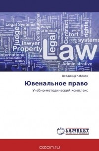 Владимир Кабанов - Ювенальное право