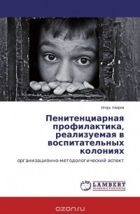 Игорь Уваров - Пенитенциарная профилактика, реализуемая в воспитательных колониях