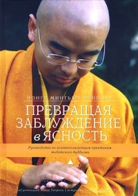 Йонге Мингьюр Ринпоче - Превращая заблуждение в ясность. Руководство по основополагающим практикам тибетского буддизма