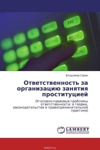 Владимир Савин - Ответственность за организацию занятия проституцией