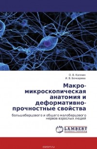  - Макро-микроскопическая анатомия и деформативно-прочностные свойства