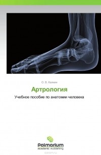 О. В. Калмин - Артрология