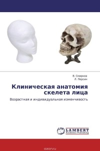  - Клиническая анатомия скелета лица