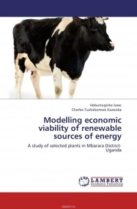  - Modelling economic viability of renewable sources of energy