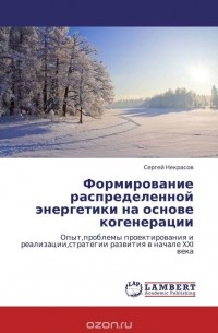 Сергей Некрасов - Формирование распределенной энергетики на основе  когенерации