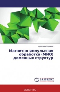 Александр Богданов - Магнитно-импульсная обработка (МИО) доменных структур