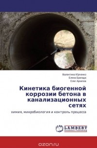  - Кинетика биогенной коррозии бетона в канализационных сетях