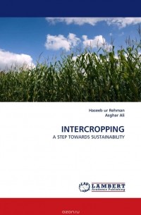  - INTERCROPPING
